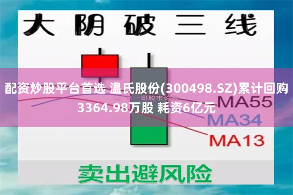 配资炒股平台首选 温氏股份(300498.SZ)累计回购3364.98万股 耗资6亿元