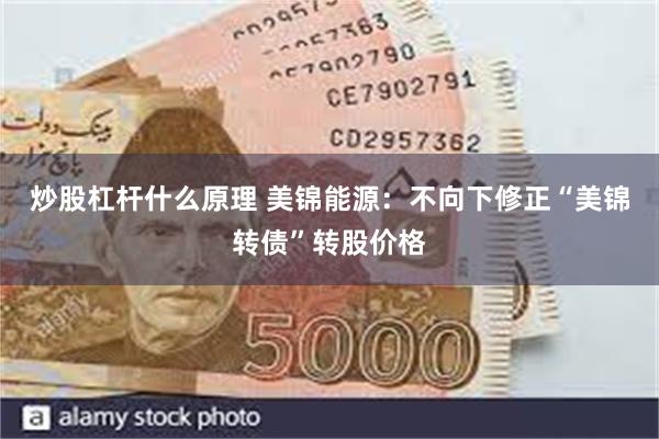 炒股杠杆什么原理 美锦能源：不向下修正“美锦转债”转股价格