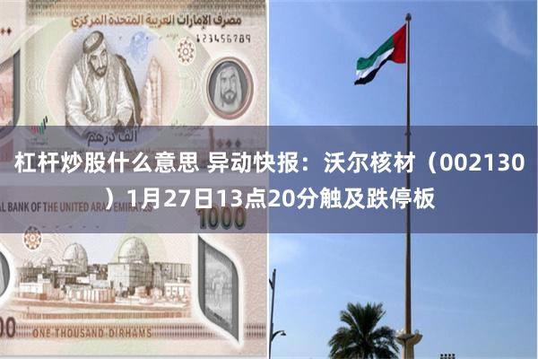 杠杆炒股什么意思 异动快报：沃尔核材（002130）1月27日13点20分触及跌停板