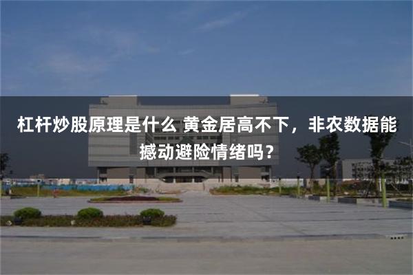 杠杆炒股原理是什么 黄金居高不下，非农数据能撼动避险情绪吗？