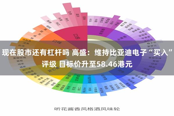 现在股市还有杠杆吗 高盛：维持比亚迪电子“买入”评级 目标价升至58.46港元