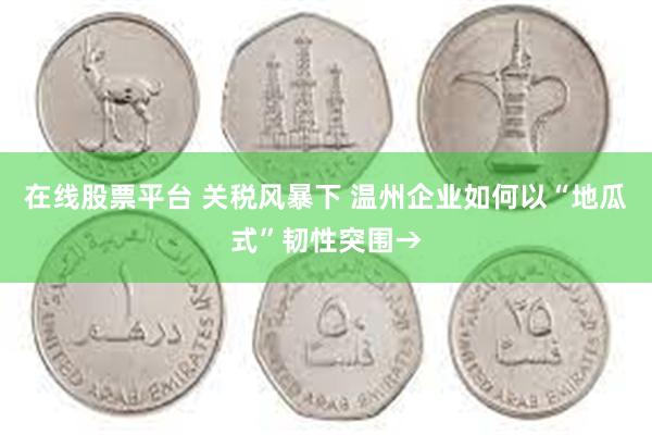 在线股票平台 关税风暴下 温州企业如何以“地瓜式”韧性突围→