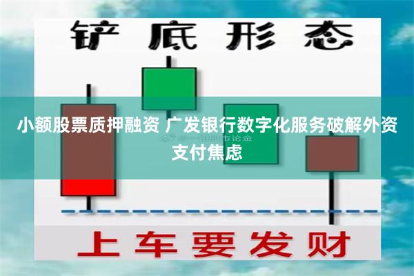 小额股票质押融资 广发银行数字化服务破解外资支付焦虑