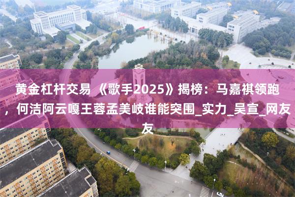 黄金杠杆交易 《歌手2025》揭榜：马嘉祺领跑，何洁阿云嘎王蓉孟美岐谁能突围_实力_吴宣_网友