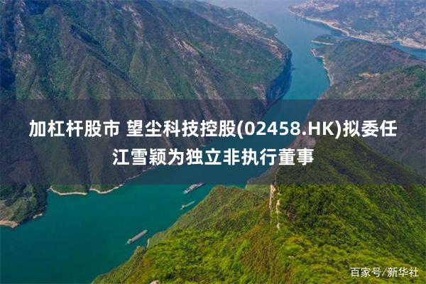 加杠杆股市 望尘科技控股(02458.HK)拟委任江雪颖为独立非执行董事