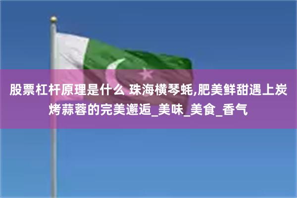 股票杠杆原理是什么 珠海横琴蚝,肥美鲜甜遇上炭烤蒜蓉的完美邂逅_美味_美食_香气