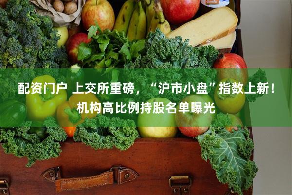配资门户 上交所重磅，“沪市小盘”指数上新！机构高比例持股名单曝光