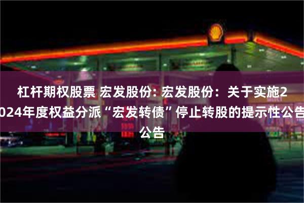 杠杆期权股票 宏发股份: 宏发股份：关于实施2024年度权益分派“宏发转债”停止转股的提示性公告