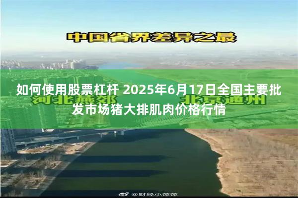 如何使用股票杠杆 2025年6月17日全国主要批发市场猪大排肌肉价格行情