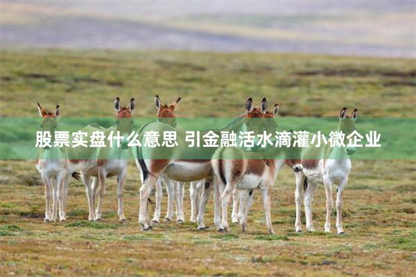 股票实盘什么意思 引金融活水滴灌小微企业