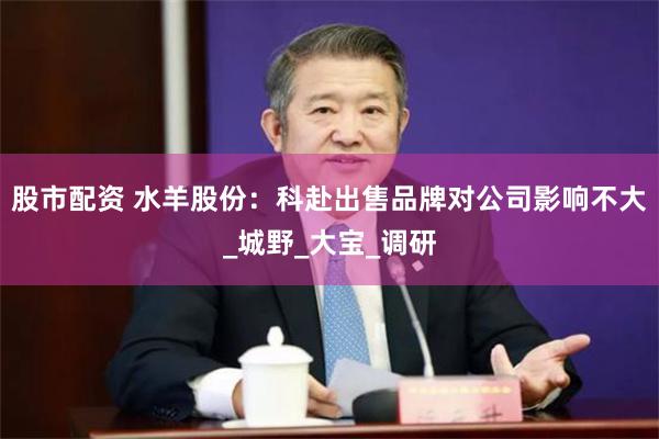 股市配资 水羊股份：科赴出售品牌对公司影响不大_城野_大宝_调研