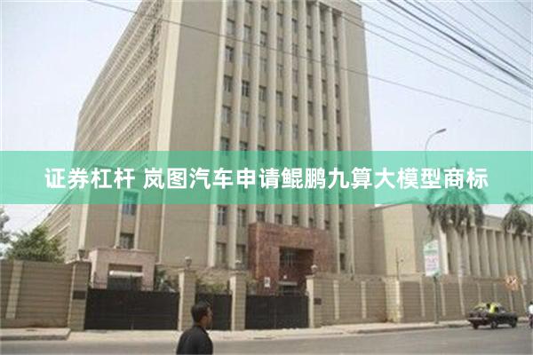 证券杠杆 岚图汽车申请鲲鹏九算大模型商标