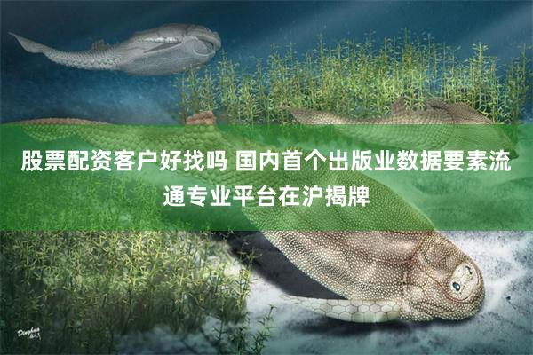 股票配资客户好找吗 国内首个出版业数据要素流通专业平台在沪揭牌
