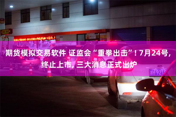 期货模拟交易软件 证监会“重拳出击”! 7月24号, 终止上市, 三大消息正式出炉