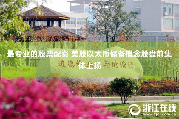 最专业的股票配资 美股以太币储备概念股盘前集体上扬