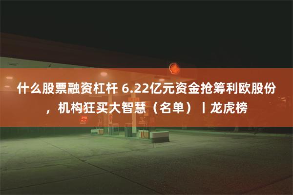 什么股票融资杠杆 6.22亿元资金抢筹利欧股份，机构狂买大智慧（名单）丨龙虎榜