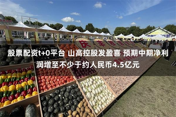 股票配资t+0平台 山高控股发盈喜 预期中期净利润增至不少于约人民币4.5亿元
