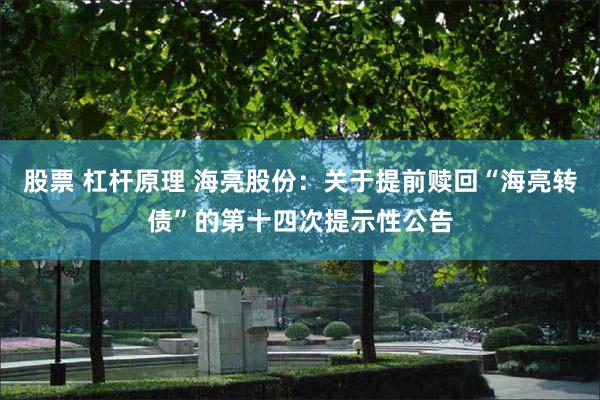 股票 杠杆原理 海亮股份:关于提前赎回“海亮转债”的第十四次提示性公告