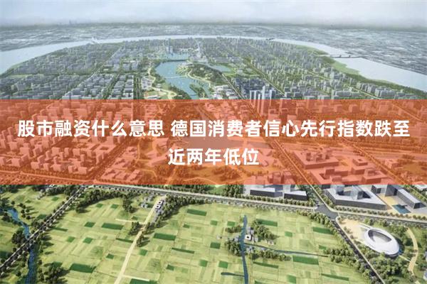 股市融资什么意思 德国消费者信心先行指数跌至近两年低位
